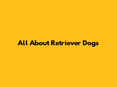 All About Retriever Dogs