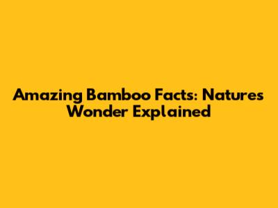 Amazing Bamboo Facts: Nature's Wonder Explained