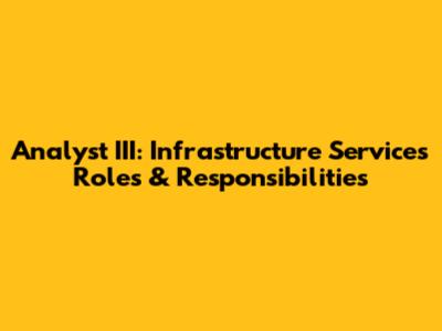 Analyst III: Infrastructure Services Roles & Responsibilities