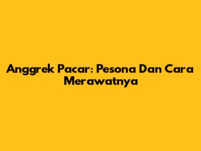 Anggrek Pacar: Pesona Dan Cara Merawatnya