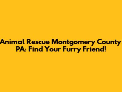 Animal Rescue Montgomery County PA: Find Your Furry Friend!