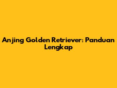 Anjing Golden Retriever: Panduan Lengkap