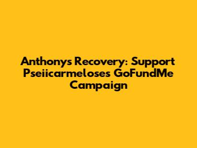 Anthony's Recovery: Support Pseiicarmelose's GoFundMe Campaign