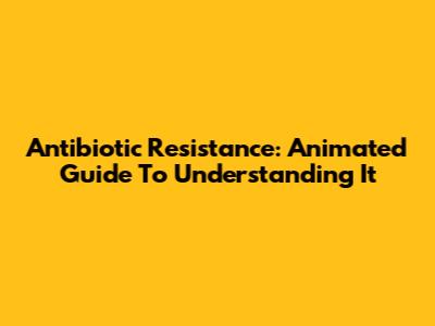 Antibiotic Resistance: Animated Guide To Understanding It
