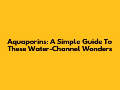 Aquaporins: A Simple Guide To These Water-Channel Wonders