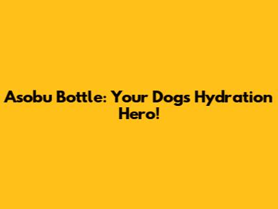 Asobu Bottle: Your Dog's Hydration Hero!