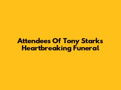 Attendees Of Tony Stark's Heartbreaking Funeral
