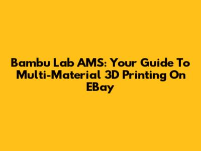 Bambu Lab AMS: Your Guide To Multi-Material 3D Printing On EBay