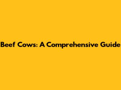 Beef Cows: A Comprehensive Guide