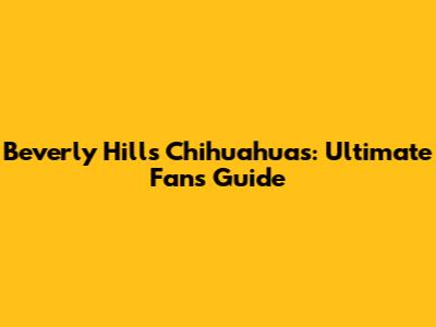 Beverly Hills Chihuahuas: Ultimate Fan's Guide