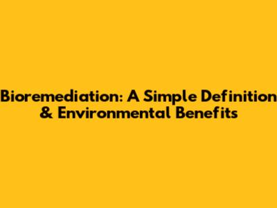 Bioremediation: A Simple Definition & Environmental Benefits