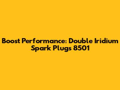 Boost Performance: Double Iridium Spark Plugs 8501