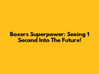 Boxer's Superpower: Seeing 1 Second Into The Future!
