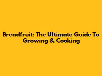 Breadfruit: The Ultimate Guide To Growing & Cooking