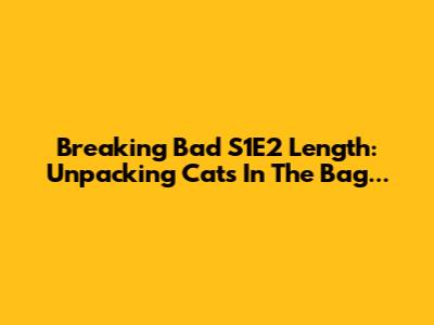 Breaking Bad S1E2 Length: Unpacking "Cat's In The Bag..."