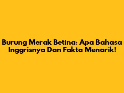 Burung Merak Betina: Apa Bahasa Inggrisnya Dan Fakta Menarik!