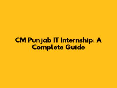 CM Punjab IT Internship: A Complete Guide