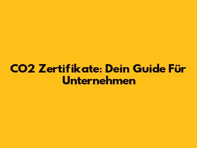 CO2 Zertifikate: Dein Guide Für Unternehmen