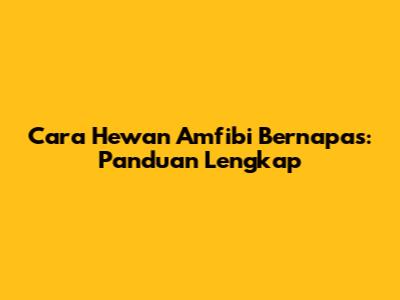 Cara Hewan Amfibi Bernapas: Panduan Lengkap
