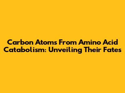 Carbon Atoms From Amino Acid Catabolism: Unveiling Their Fates