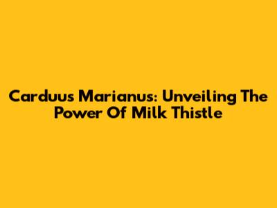 Carduus Marianus: Unveiling The Power Of Milk Thistle