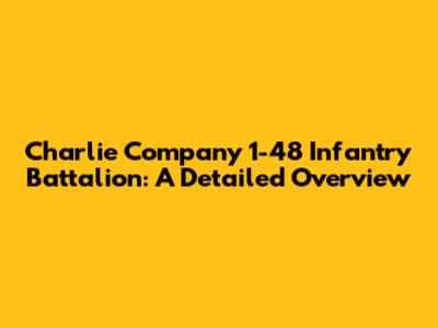 Charlie Company 1-48 Infantry Battalion: A Detailed Overview