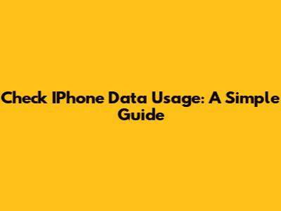 Check IPhone Data Usage: A Simple Guide