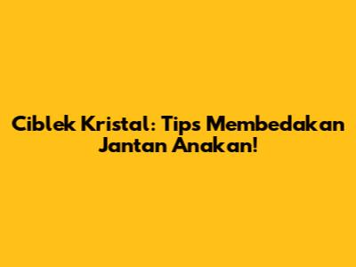 Ciblek Kristal: Tips Membedakan Jantan Anakan!