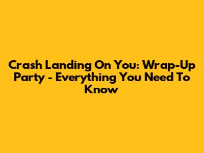 Crash Landing On You: Wrap-Up Party - Everything You Need To Know
