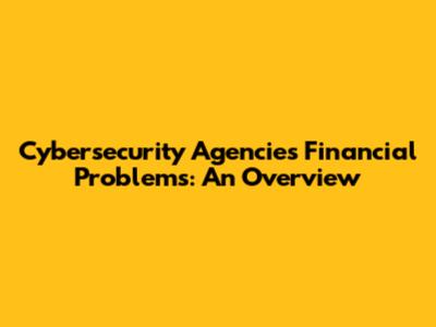 Cybersecurity Agencies' Financial Problems: An Overview