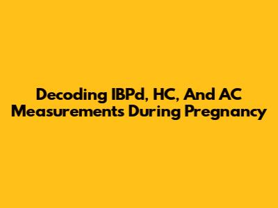 Decoding IBPd, HC, And AC Measurements During Pregnancy