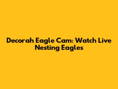 Decorah Eagle Cam: Watch Live Nesting Eagles