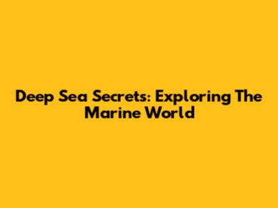 Deep Sea Secrets: Exploring The Marine World
