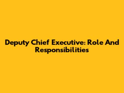 Deputy Chief Executive: Role And Responsibilities