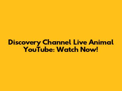 Discovery Channel Live Animal YouTube: Watch Now!