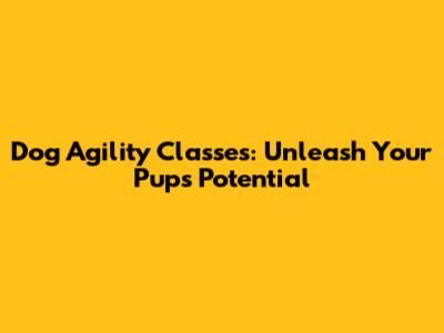 Dog Agility Classes: Unleash Your Pup's Potential