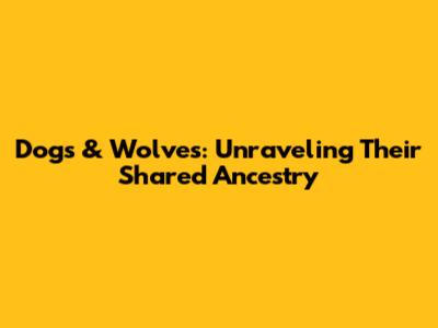 Dogs & Wolves: Unraveling Their Shared Ancestry