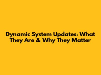 Dynamic System Updates: What They Are & Why They Matter