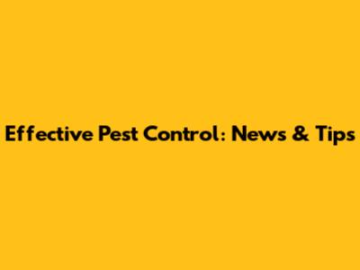 Effective Pest Control: News & Tips
