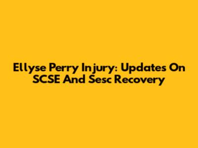 Ellyse Perry Injury: Updates On SCSE And Sesc Recovery