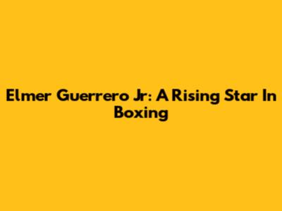 Elmer Guerrero Jr: A Rising Star In Boxing