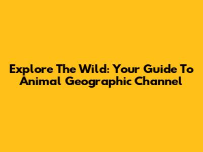Explore The Wild: Your Guide To Animal Geographic Channel