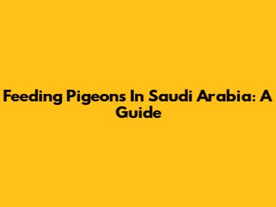 Feeding Pigeons In Saudi Arabia: A Guide