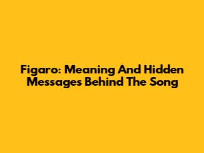 Figaro: Meaning And Hidden Messages Behind The Song