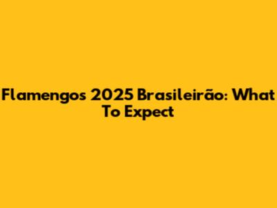 Flamengo's 2025 Brasileirão: What To Expect