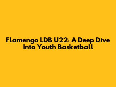 Flamengo LDB U22: A Deep Dive Into Youth Basketball