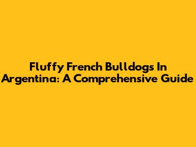 Fluffy French Bulldogs In Argentina: A Comprehensive Guide
