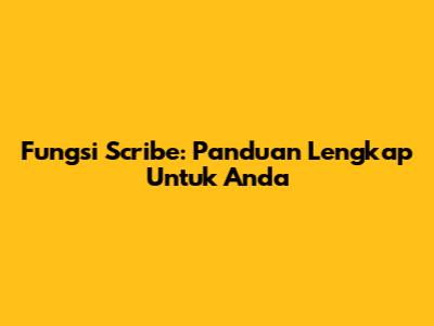 Fungsi Scribe: Panduan Lengkap Untuk Anda