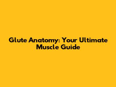 Glute Anatomy: Your Ultimate Muscle Guide