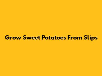 Grow Sweet Potatoes From Slips